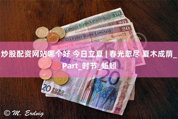 炒股配资网站哪个好 今日立夏 | 春光忽尽 夏木成荫_Part_时节_蚯蚓