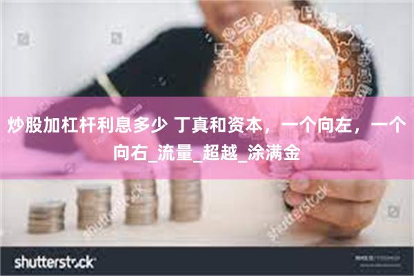 炒股加杠杆利息多少 丁真和资本，一个向左，一个向右_流量_超越_涂满金