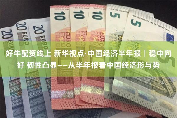 好牛配资线上 新华视点·中国经济半年报｜稳中向好 韧性凸显——从半年报看中国经济形与势
