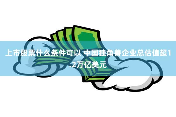 上市股票什么条件可以 中国独角兽企业总估值超1.2万亿美元