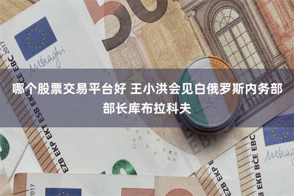 哪个股票交易平台好 王小洪会见白俄罗斯内务部部长库布拉科夫