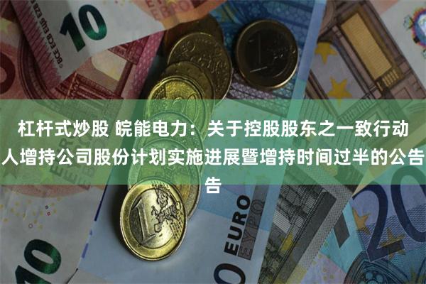 杠杆式炒股 皖能电力：关于控股股东之一致行动人增持公司股份计划实施进展暨增持时间过半的公告