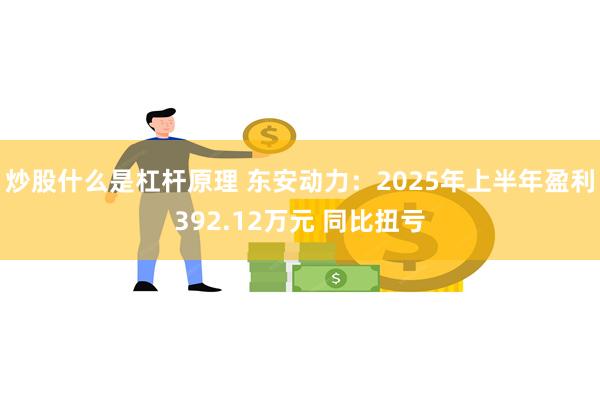 炒股什么是杠杆原理 东安动力：2025年上半年盈利392.12万元 同比扭亏