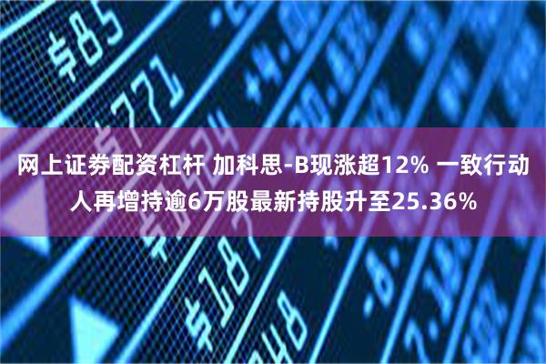 网上证劵配资杠杆 加科思-B现涨超12% 一致行动人再增持逾6万股最新持股升至25.36%