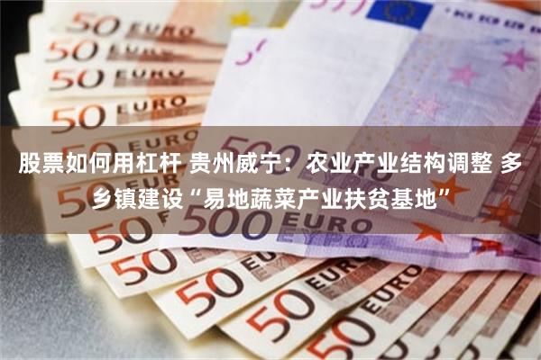 股票如何用杠杆 贵州威宁：农业产业结构调整 多乡镇建设“易地蔬菜产业扶贫基地”