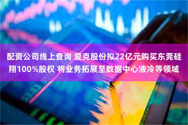 配资公司线上查询 爱克股份拟22亿元购买东莞硅翔100%股权 将业务拓展至数据中心液冷等领域