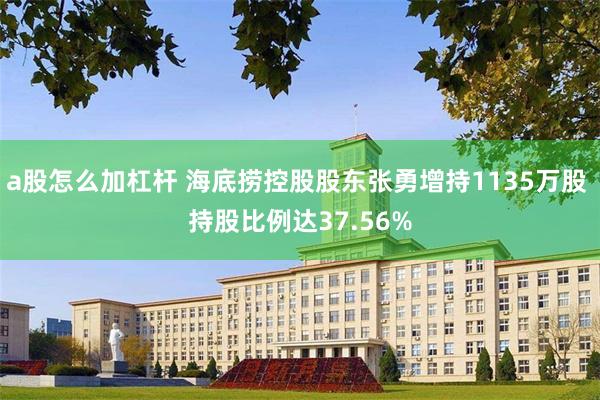 a股怎么加杠杆 海底捞控股股东张勇增持1135万股 持股比例达37.56%
