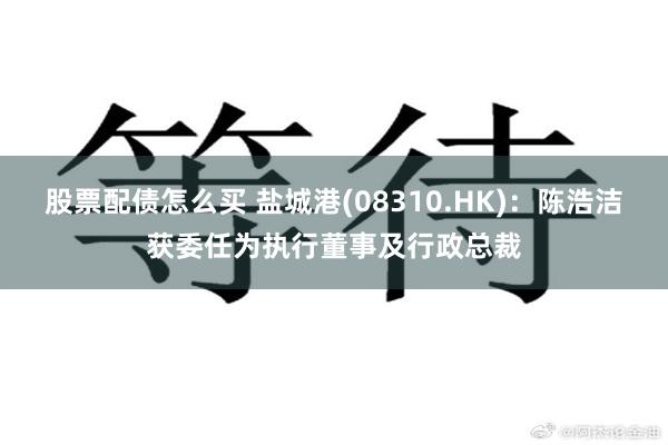 股票配债怎么买 盐城港(08310.HK)：陈浩洁获委任为执行董事及行政总裁