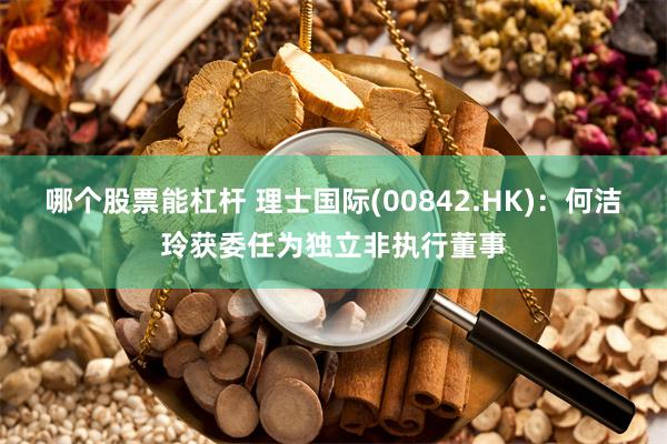 哪个股票能杠杆 理士国际(00842.HK)：何洁玲获委任为独立非执行董事