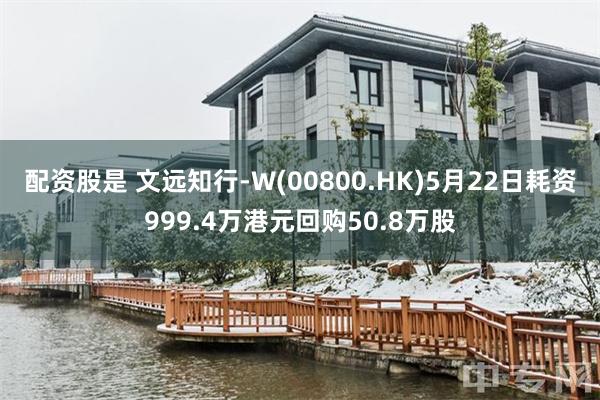 配资股是 文远知行-W(00800.HK)5月22日耗资999.4万港元回购50.8万股