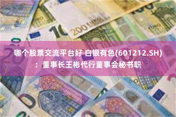 哪个股票交流平台好 白银有色(601212.SH):董事长王彬代行董事会秘书职