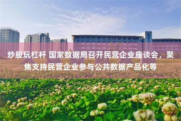 炒股玩杠杆 国家数据局召开民营企业座谈会，聚焦支持民营企业参与公共数据产品化等