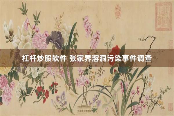 杠杆炒股软件 张家界溶洞污染事件调查