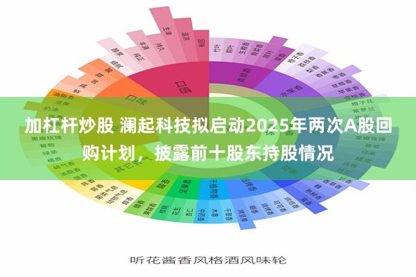 加杠杆炒股 澜起科技拟启动2025年两次A股回购计划，披露前十股东持股情况