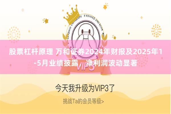 股票杠杆原理 万和证券2024年财报及2025年1-5月业绩披露，净利润波动显著
