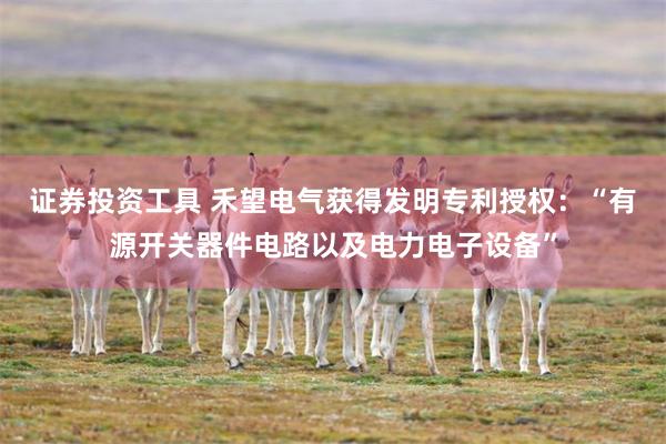 证券投资工具 禾望电气获得发明专利授权：“有源开关器件电路以及电力电子设备”
