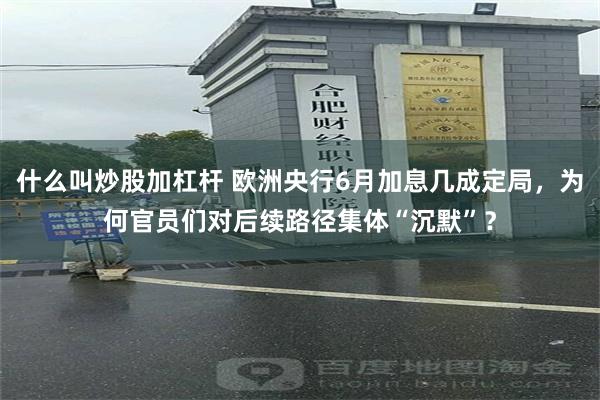 什么叫炒股加杠杆 欧洲央行6月加息几成定局，为何官员们对后续路径集体“沉默”？