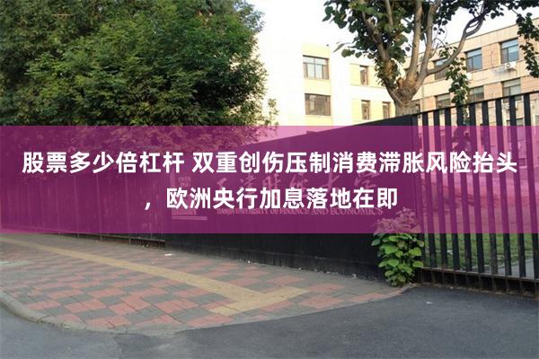 股票多少倍杠杆 双重创伤压制消费滞胀风险抬头，欧洲央行加息落地在即