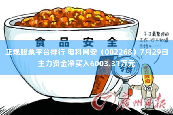 正规股票平台排行 电科网安（002268）7月29日主力资金净买入6003.31万元
