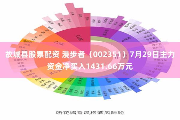 故城县股票配资 漫步者（002351）7月29日主力资金净买入1431.66万元