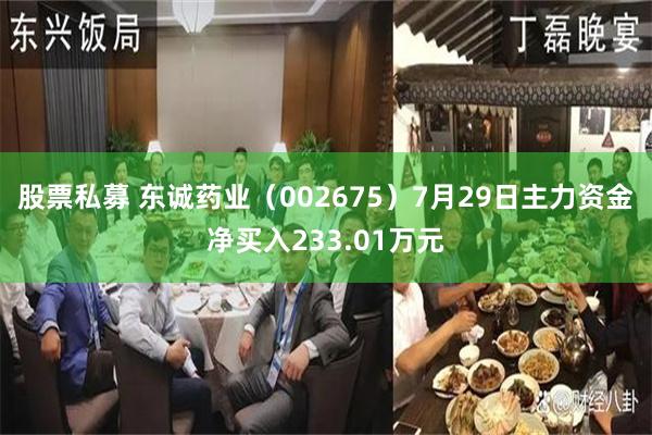 股票私募 东诚药业（002675）7月29日主力资金净买入233.01万元