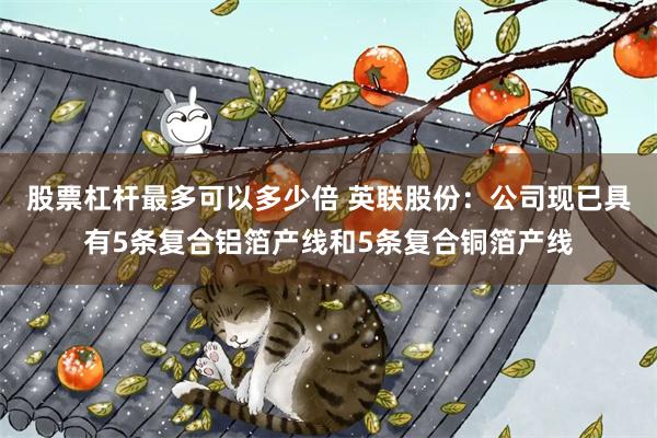 股票杠杆最多可以多少倍 英联股份：公司现已具有5条复合铝箔产线和5条复合铜箔产线