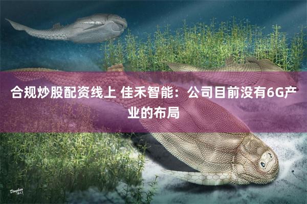 合规炒股配资线上 佳禾智能:公司目前没有6G产业的布局
