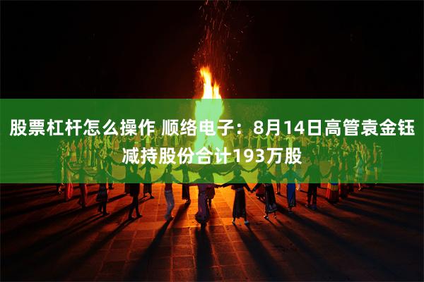 股票杠杆怎么操作 顺络电子：8月14日高管袁金钰减持股份合计193万股