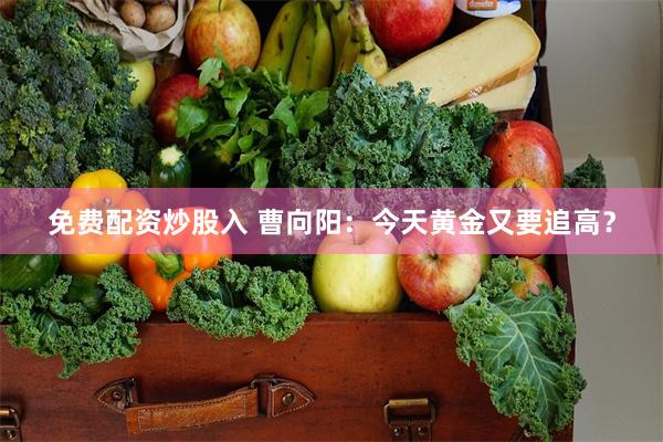 免费配资炒股入 曹向阳:今天黄金又要追高?
