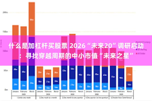 什么是加杠杆买股票 2026“未来20”调研启动：寻找穿越周期的中小市值“未来之星”