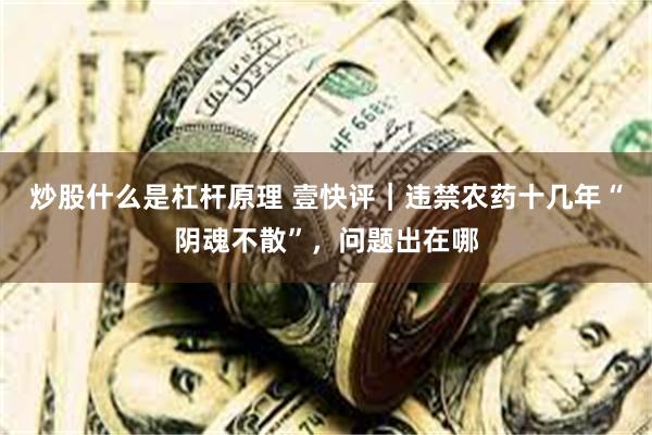 炒股什么是杠杆原理 壹快评｜违禁农药十几年“阴魂不散”，问题出在哪