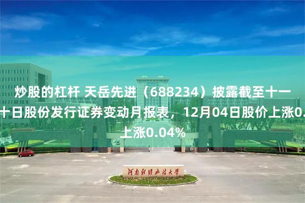 炒股的杠杆 天岳先进（688234）披露截至十一月三十日股份发行证券变动月报表，12月04日股价上涨0.04%