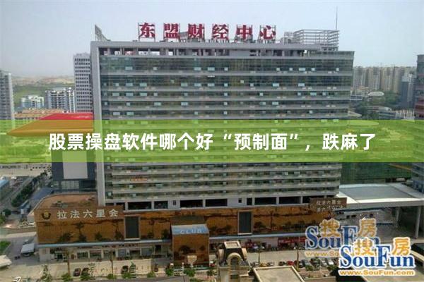 股票操盘软件哪个好 “预制面”，跌麻了
