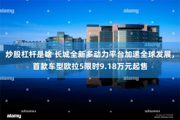 炒股杠杆是啥 长城全新多动力平台加速全球发展，首款车型欧拉5限时9.18万元起售
