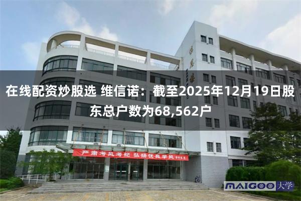 在线配资炒股选 维信诺：截至2025年12月19日股东总户数为68,562户