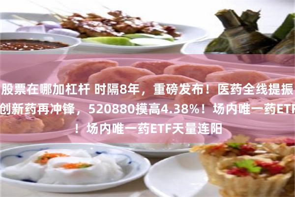 股票在哪加杠杆 时隔8年，重磅发布！医药全线提振！港股通创新药再冲锋，520880摸高4.38%！场内唯一药ETF天量连阳