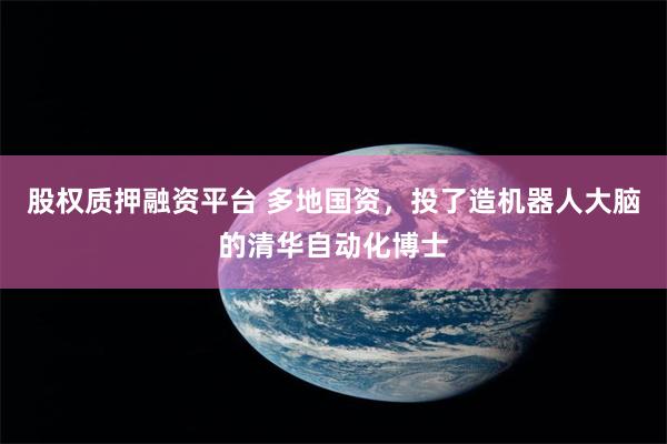 股权质押融资平台 多地国资，投了造机器人大脑的清华自动化博士