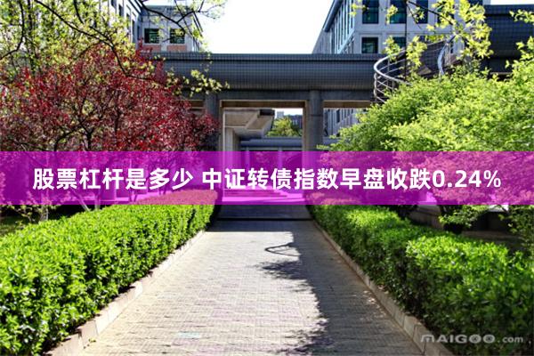 股票杠杆是多少 中证转债指数早盘收跌0.24%