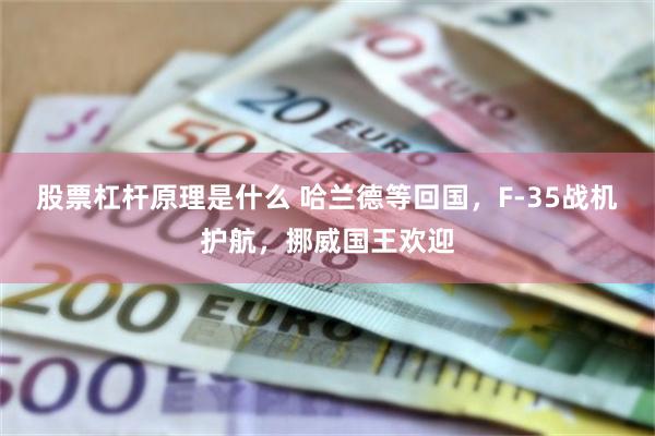 股票杠杆原理是什么 哈兰德等回国,F-35战机护航,挪威国王欢迎