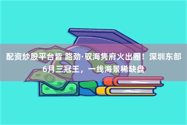 配资炒股平台皆 路劲·驭海隽府火出圈!深圳东部6月三冠王,一线海景稀缺盘