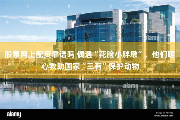 股票网上配资靠谱吗 偶遇“花脸小胖墩”,他们暖心救助国家“三有”保护动物