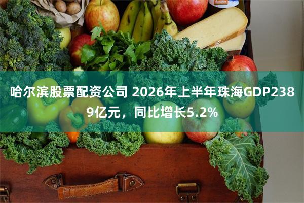 哈尔滨股票配资公司 2026年上半年珠海GDP2389亿元，同比增长5.2%