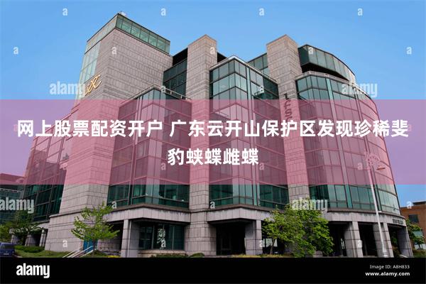 网上股票配资开户 广东云开山保护区发现珍稀斐豹蛱蝶雌蝶