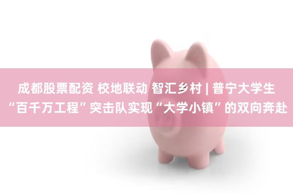 成都股票配资 校地联动 智汇乡村 | 普宁大学生“百千万工程”突击队实现“大学小镇”的双向奔赴