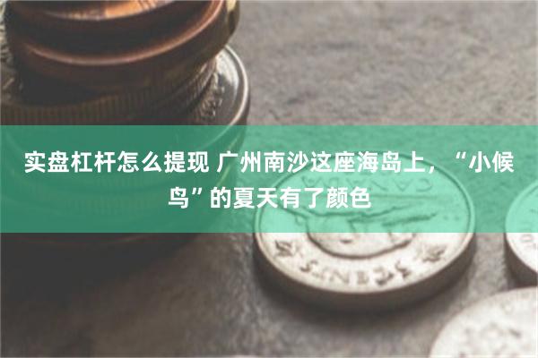 实盘杠杆怎么提现 广州南沙这座海岛上,“小候鸟”的夏天有了颜色
