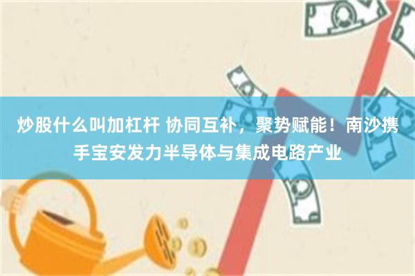 炒股什么叫加杠杆 协同互补，聚势赋能！南沙携手宝安发力半导体与集成电路产业
