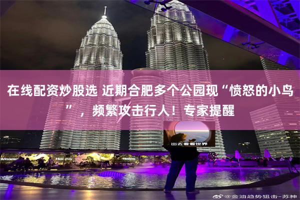 在线配资炒股选 近期合肥多个公园现“愤怒的小鸟” ，频繁攻击行人！专家提醒