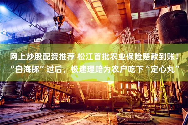 网上炒股配资推荐 松江首批农业保险赔款到账！“白海豚”过后，极速理赔为农户吃下“定心丸”