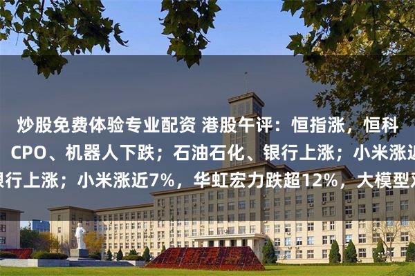 炒股免费体验专业配资 港股午评：恒指涨，恒科跌；半导体板块重挫，CPO、机器人下跌；石油石化、银行上涨；小米涨近7%，华虹宏力跌超12%，大模型双雄齐跌