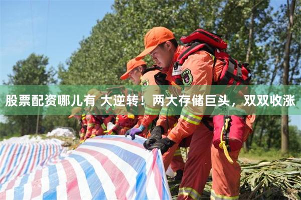 股票配资哪儿有 大逆转！两大存储巨头，双双收涨